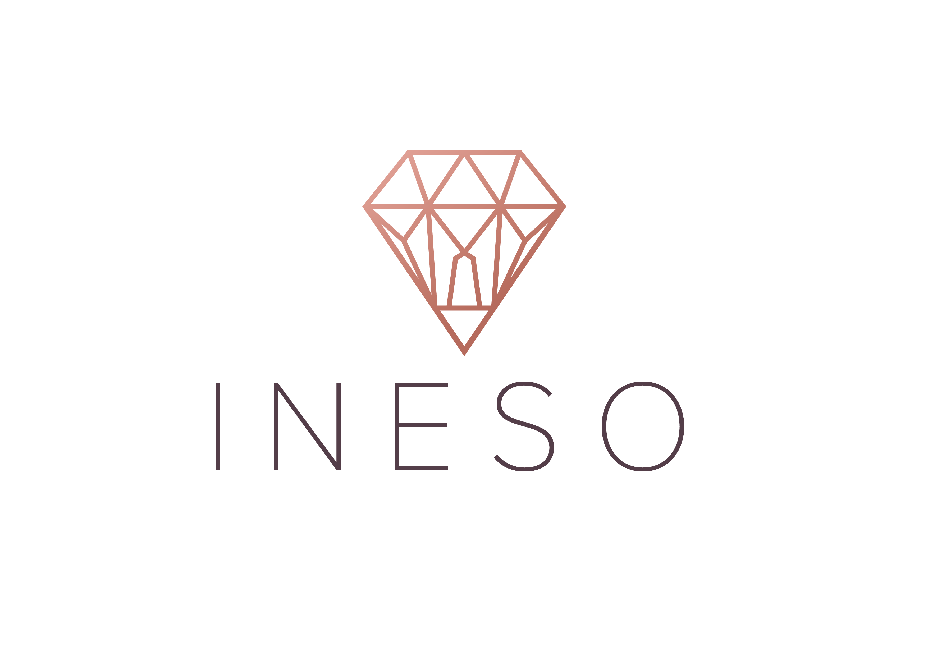 Instituto Ineso